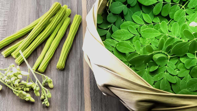 Moringa: Le Secret d'une Peau Radieuse Révélé!